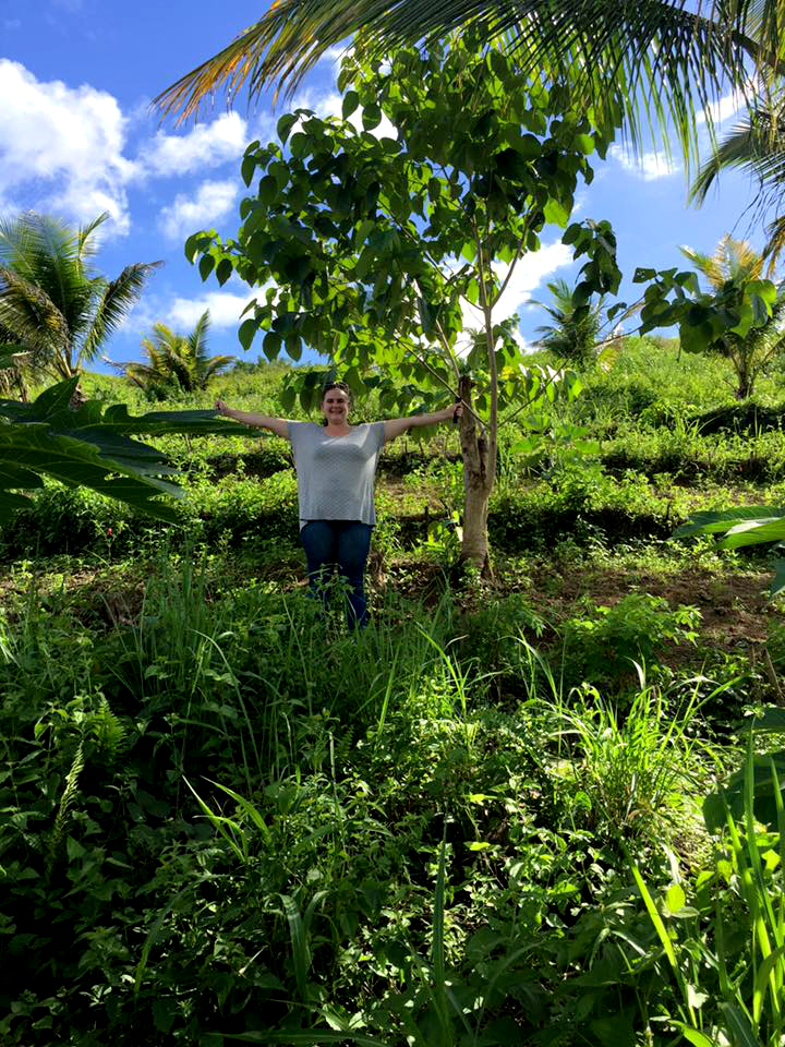 veg terrace